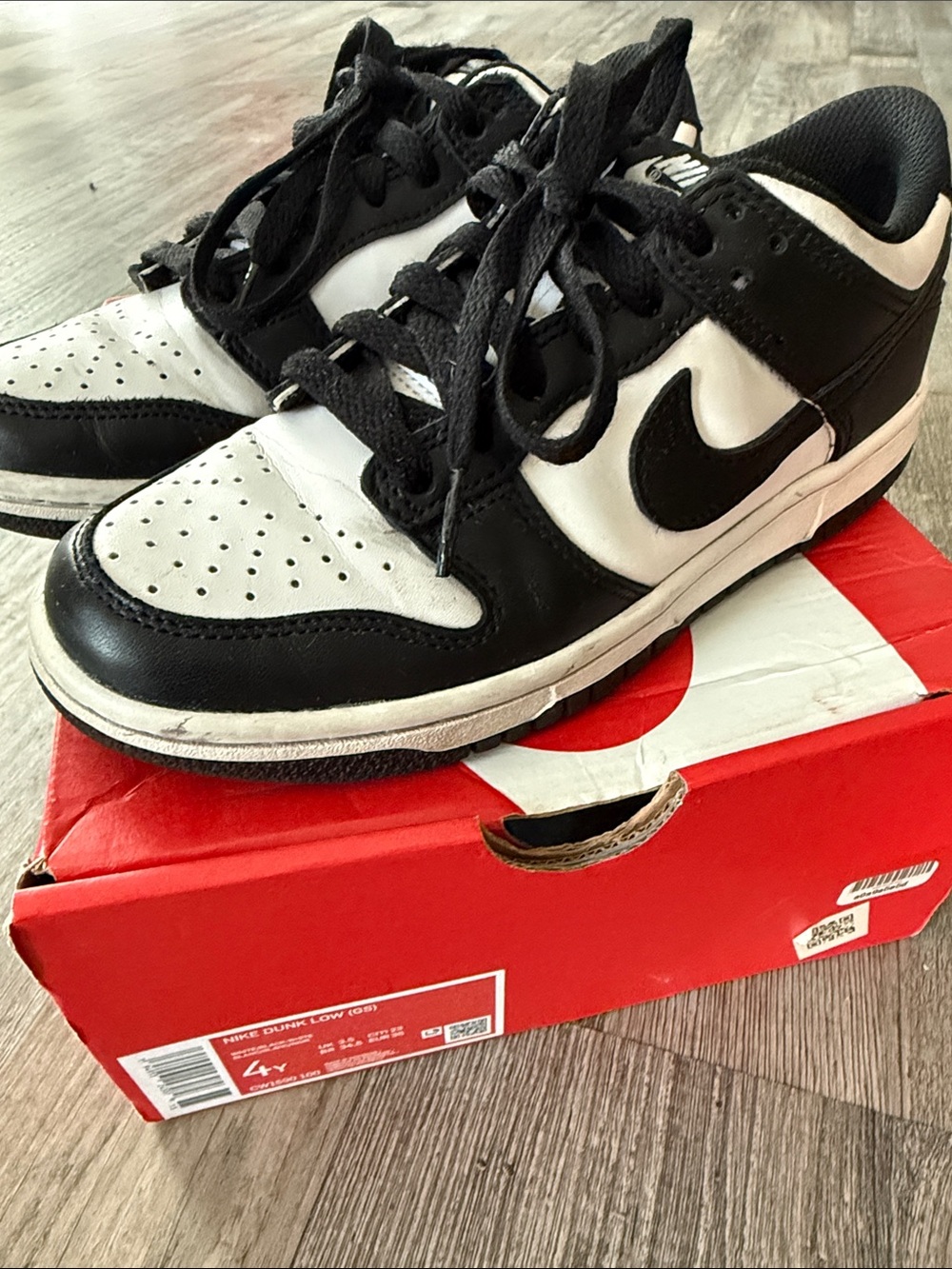Nike Dunk Low (GS) White and Black